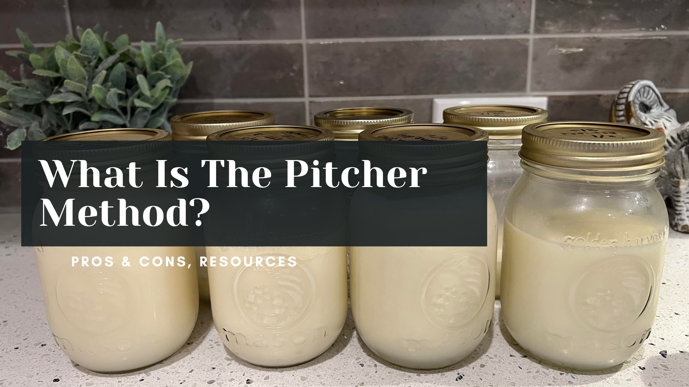 The Pitcher Method For Storing Breastmilk: Pros, Cons, And Tips